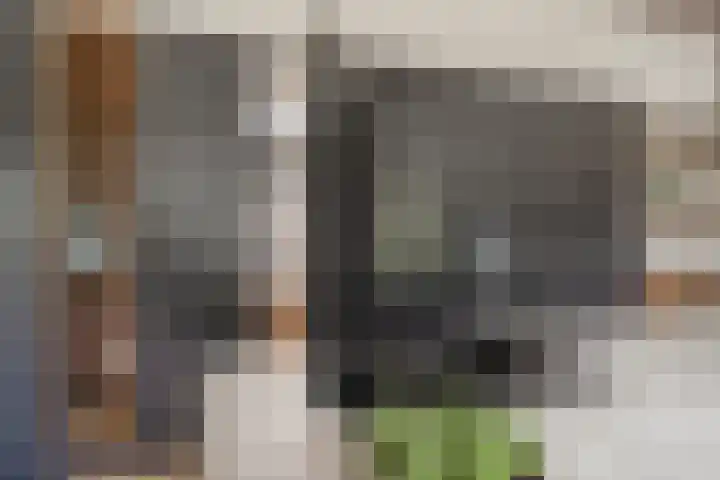 Dennenlaan 6 Sint-Michielsgestel thumbnail 13