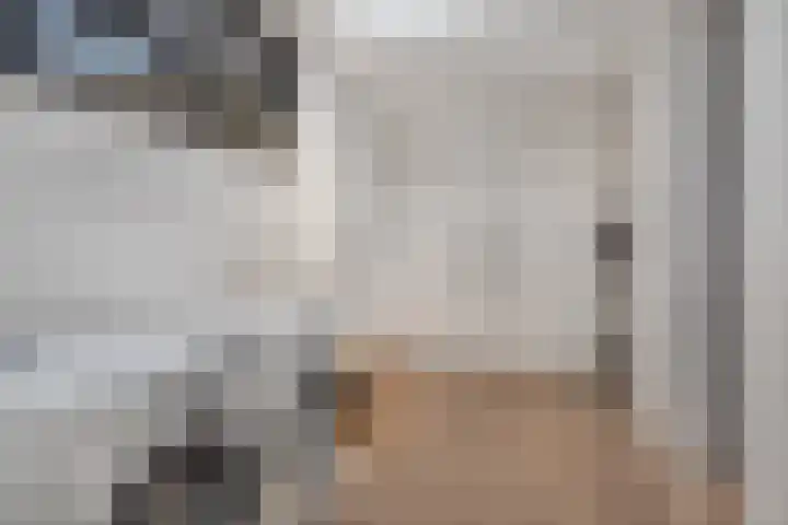 Dennenlaan 6 Sint-Michielsgestel thumbnail 18