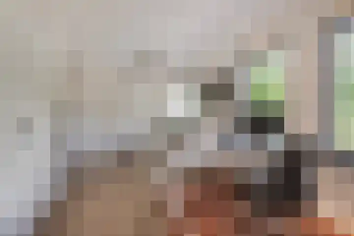 Dennenlaan 6 Sint-Michielsgestel thumbnail 21