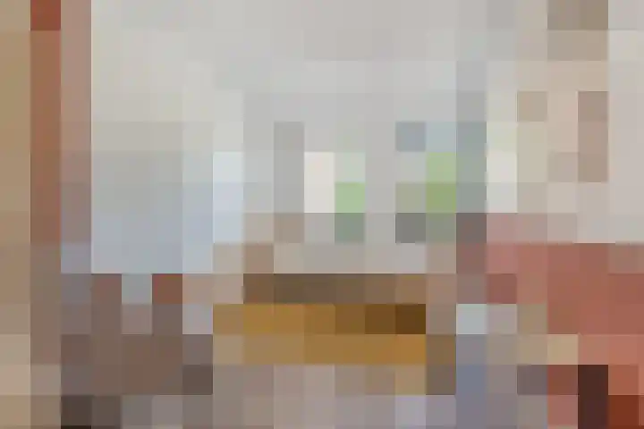 Dennenlaan 6 Sint-Michielsgestel thumbnail 22