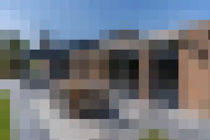 Dennenlaan 6 Sint-Michielsgestel thumbnail 27