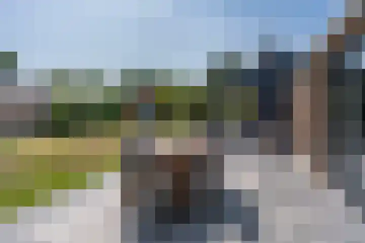 Dennenlaan 6 Sint-Michielsgestel thumbnail 28