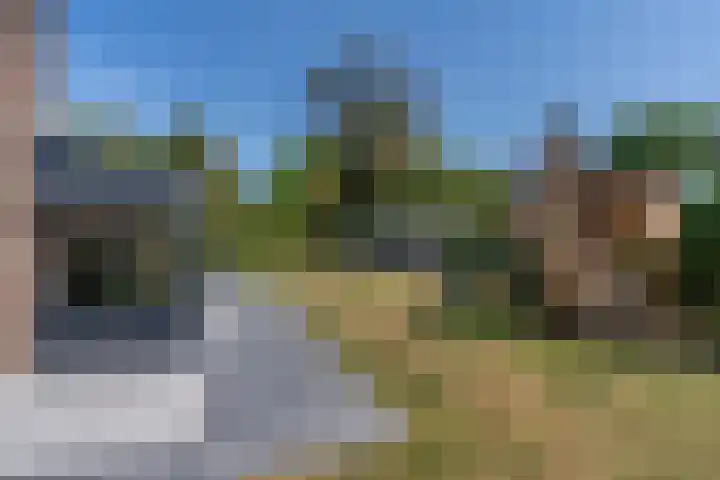 Dennenlaan 6 Sint-Michielsgestel thumbnail 30