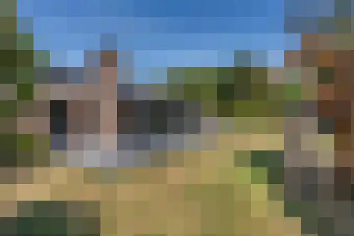 Dennenlaan 6 Sint-Michielsgestel thumbnail 31