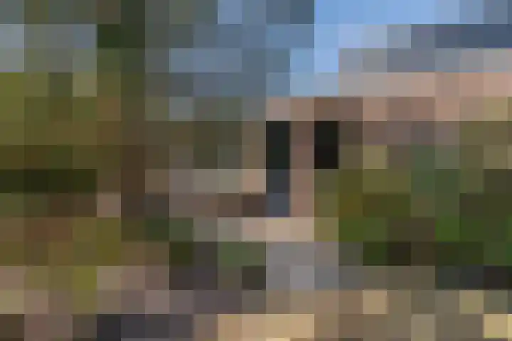 Dennenlaan 6 Sint-Michielsgestel thumbnail 32