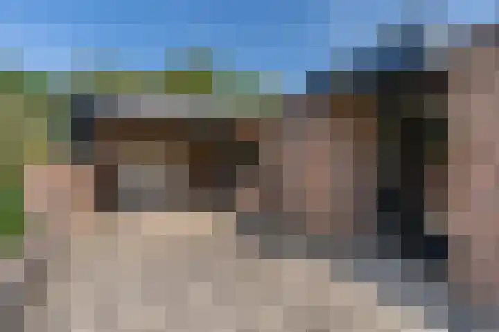 Dennenlaan 6 Sint-Michielsgestel thumbnail 33
