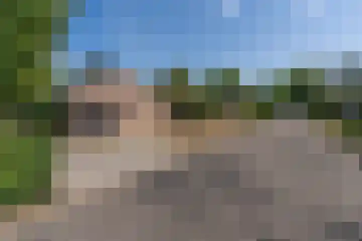 Dennenlaan 6 Sint-Michielsgestel thumbnail 35