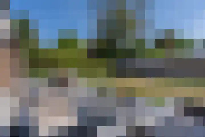 Dennenlaan 6 Sint-Michielsgestel thumbnail 5