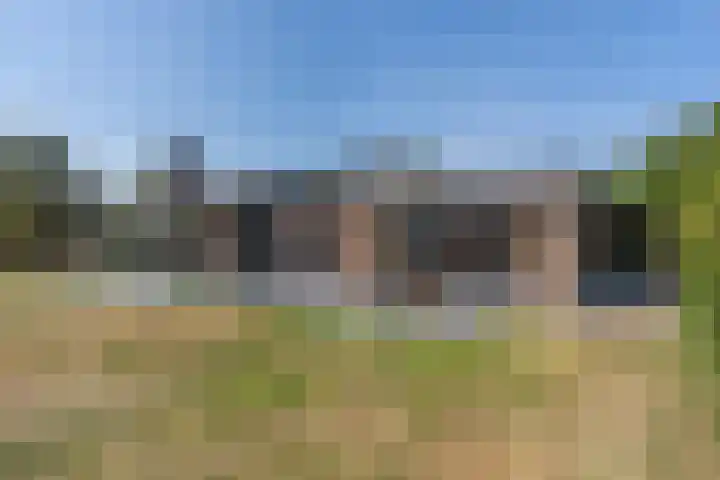 Dennenlaan 6 Sint-Michielsgestel thumbnail 6
