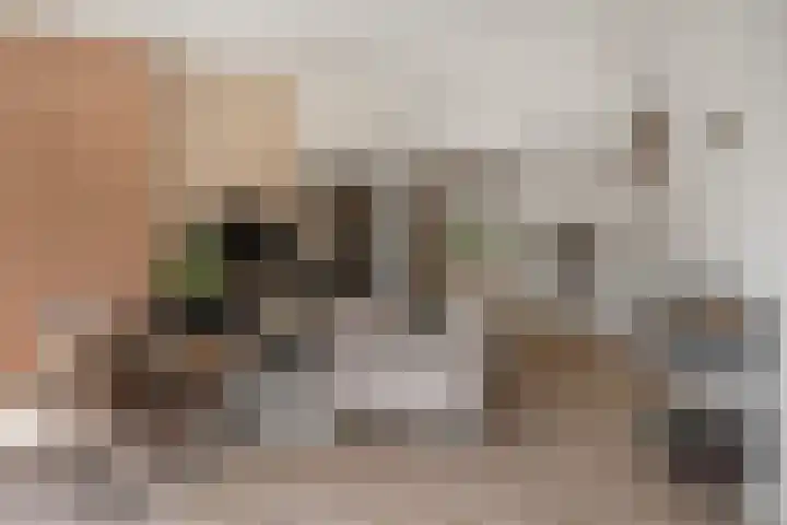 Dennenlaan 6 Sint-Michielsgestel thumbnail 8
