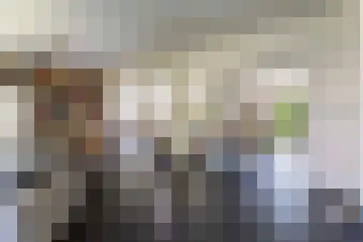 Dennenlaan 7 Apeldoorn thumbnail 10