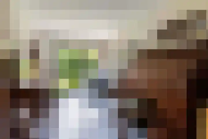 Dennenlaan 7 Apeldoorn thumbnail 12