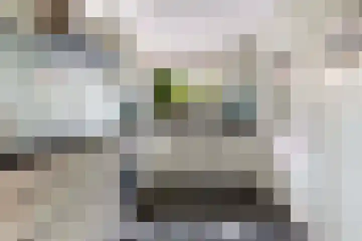 Dennenlaan 7 Apeldoorn thumbnail 17