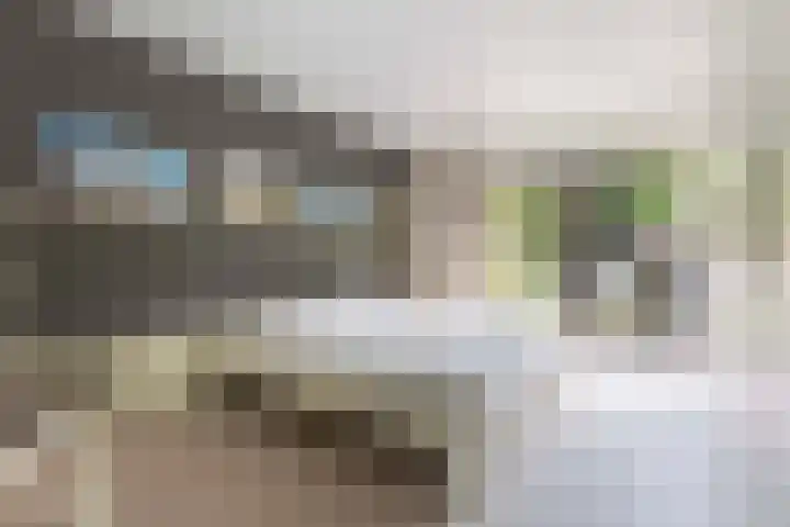 Dennenlaan 7 Apeldoorn thumbnail 24