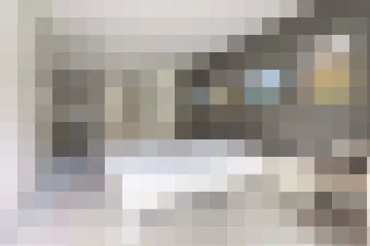 Dennenlaan 7 Apeldoorn thumbnail 25
