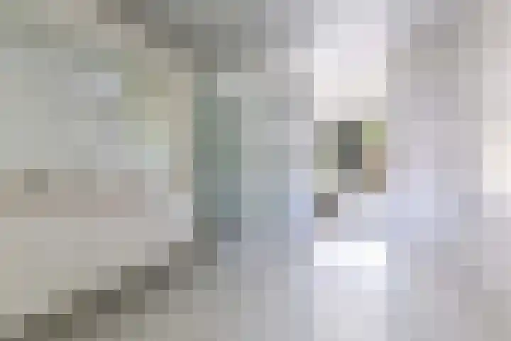 Dennenlaan 7 Apeldoorn thumbnail 28
