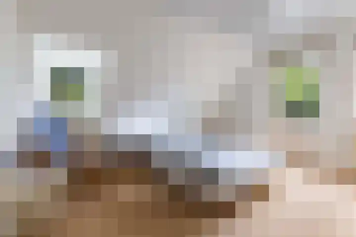Dennenlaan 7 Apeldoorn thumbnail 34