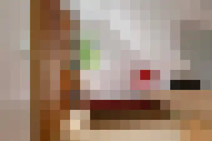 Dennenlaan 7 Apeldoorn thumbnail 35