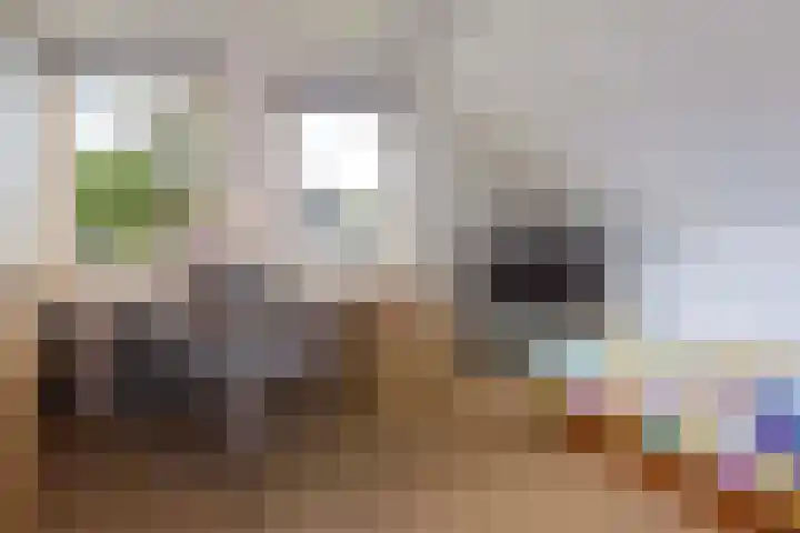 Dennenlaan 7 Apeldoorn thumbnail 36
