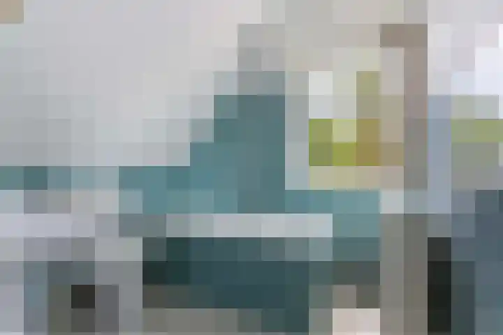 Dennenlaan 7 Apeldoorn thumbnail 39