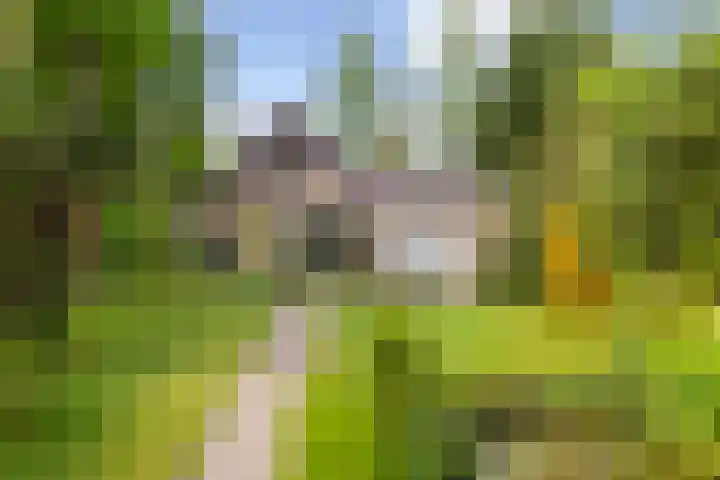 Dennenlaan 7 Apeldoorn thumbnail 40