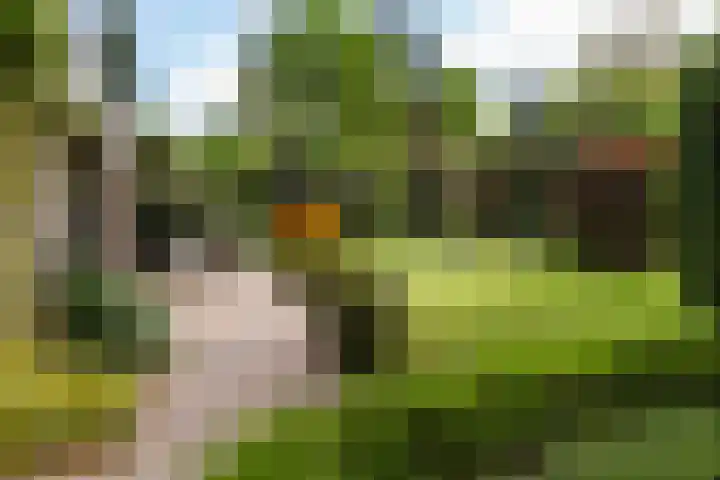 Dennenlaan 7 Apeldoorn thumbnail 42