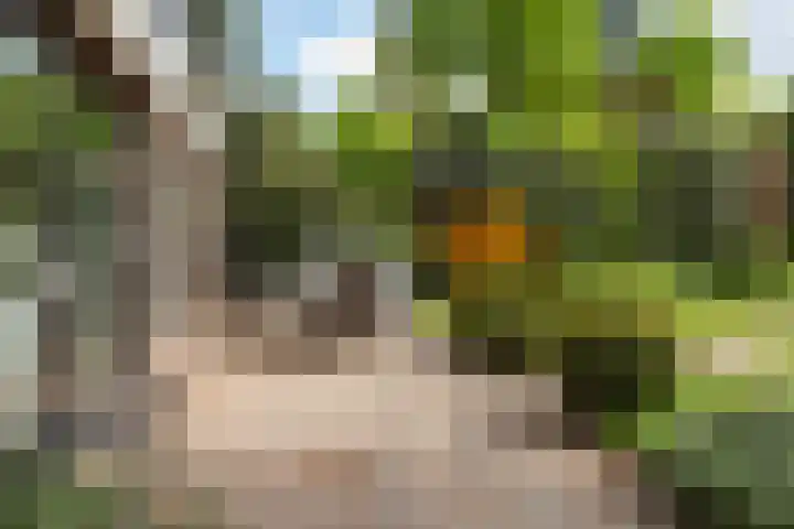 Dennenlaan 7 Apeldoorn thumbnail 43