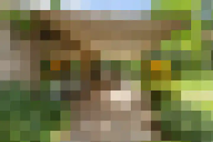Dennenlaan 7 Apeldoorn thumbnail 44