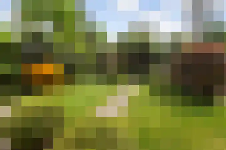 Dennenlaan 7 Apeldoorn thumbnail 45