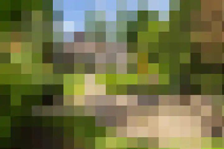Dennenlaan 7 Apeldoorn thumbnail 46