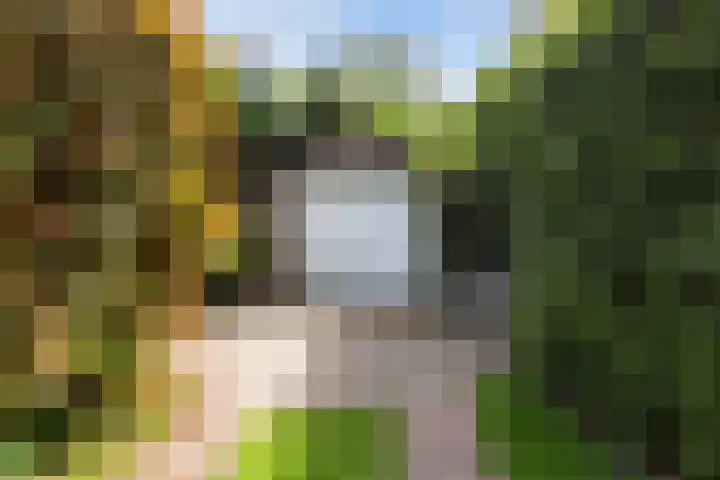 Dennenlaan 7 Apeldoorn thumbnail 47