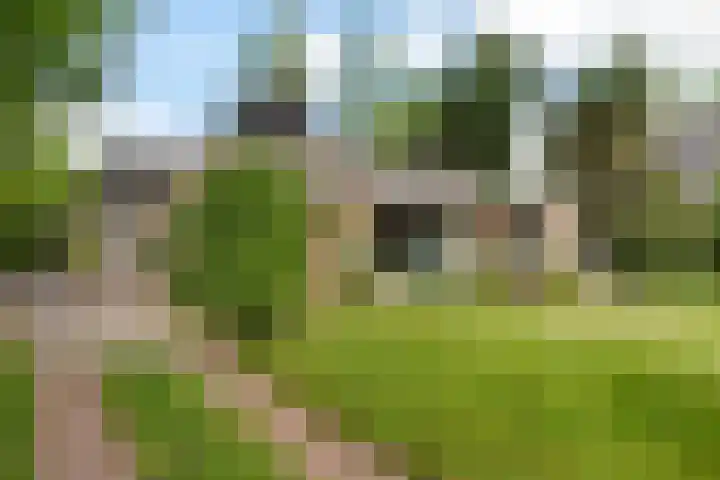 Dennenlaan 7 Apeldoorn thumbnail 48