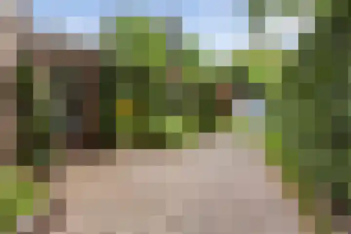 Dennenlaan 7 Apeldoorn thumbnail 49