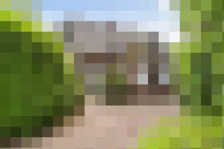 Dennenlaan 7 Apeldoorn thumbnail 51