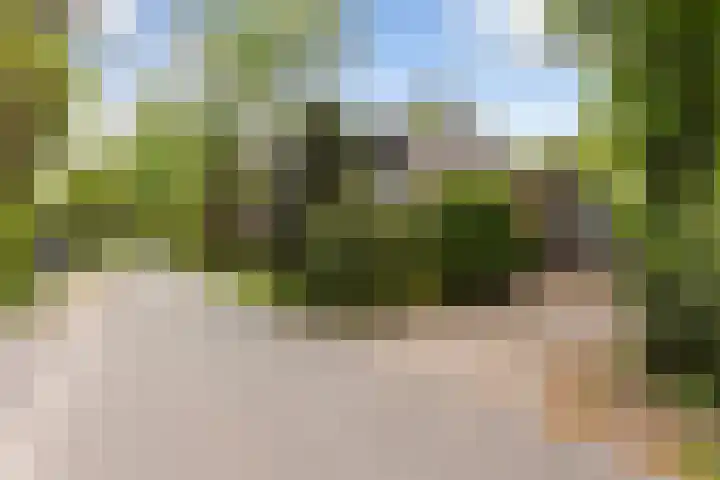 Dennenlaan 7 Apeldoorn thumbnail 52