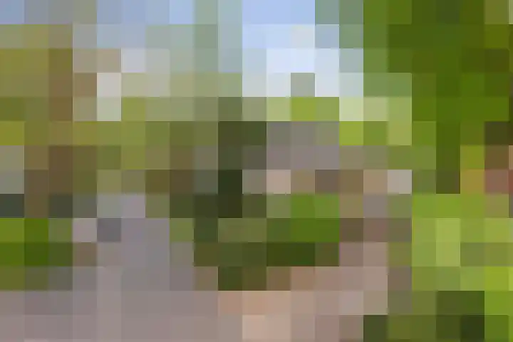 Dennenlaan 7 Apeldoorn thumbnail 53