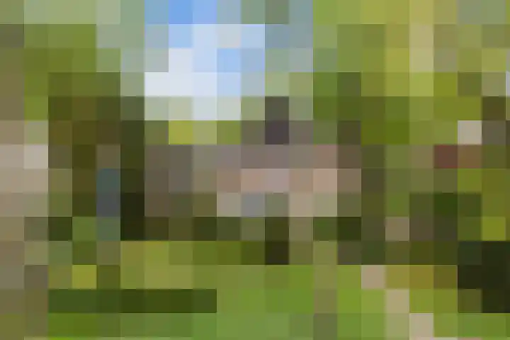Dennenlaan 7 Apeldoorn thumbnail 54