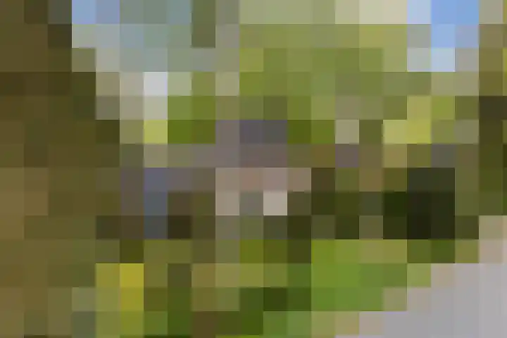 Dennenlaan 7 Apeldoorn thumbnail 55