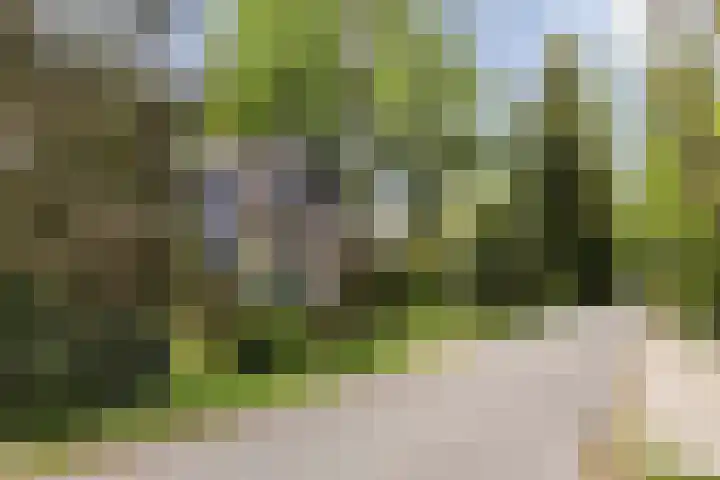 Dennenlaan 7 Apeldoorn thumbnail 56