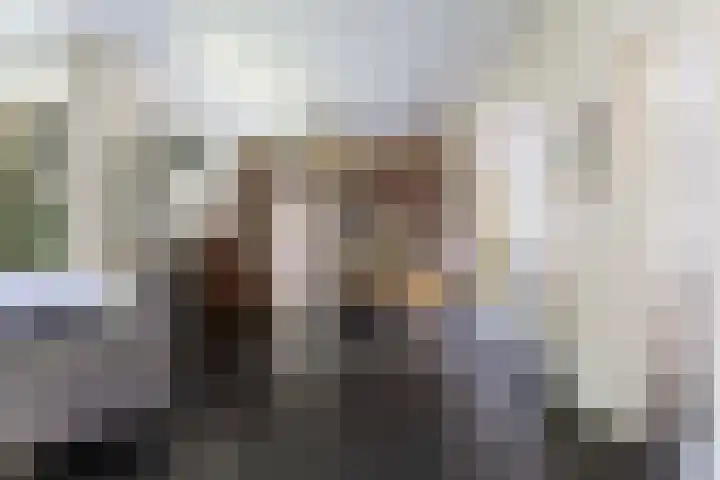 Dennenlaan 7 Apeldoorn thumbnail 6