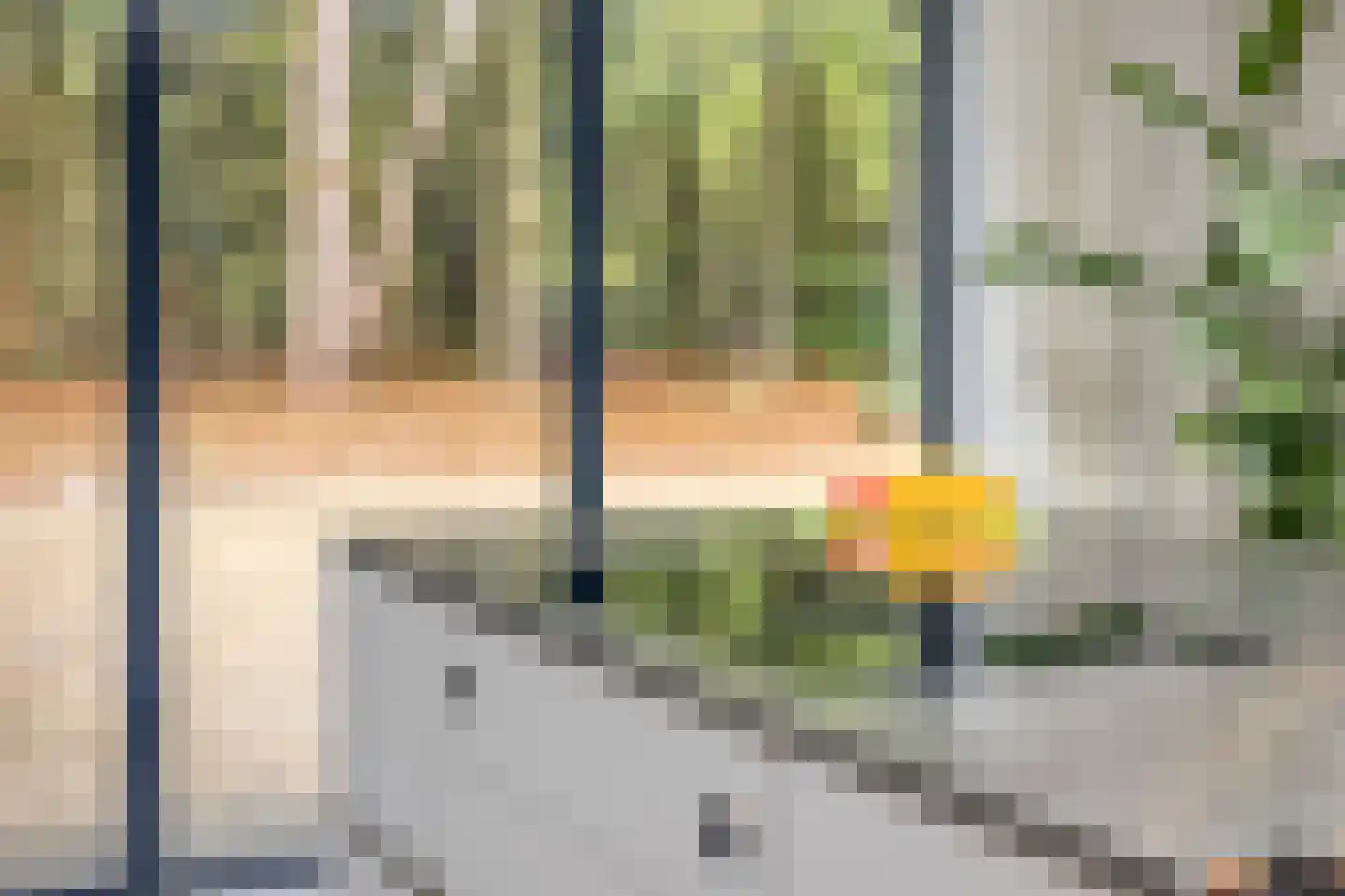 Dennenlaan 7 Epe thumbnail 13