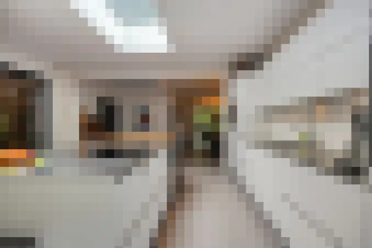 Dennenlaan 7 Epe thumbnail 14