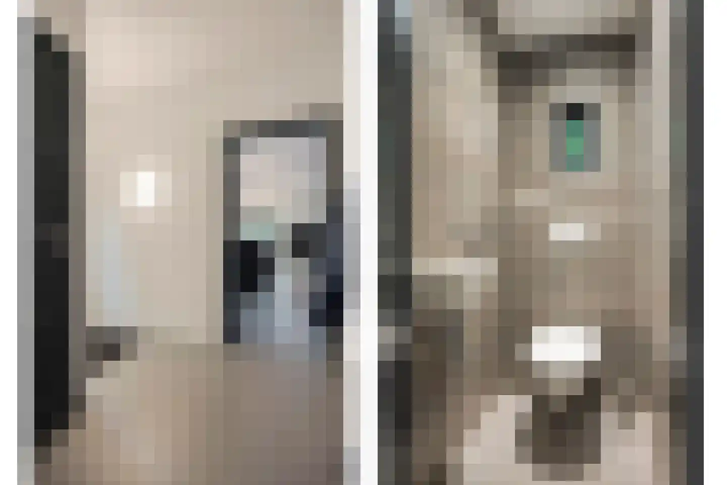 Dennenlaan 7 Epe thumbnail 20