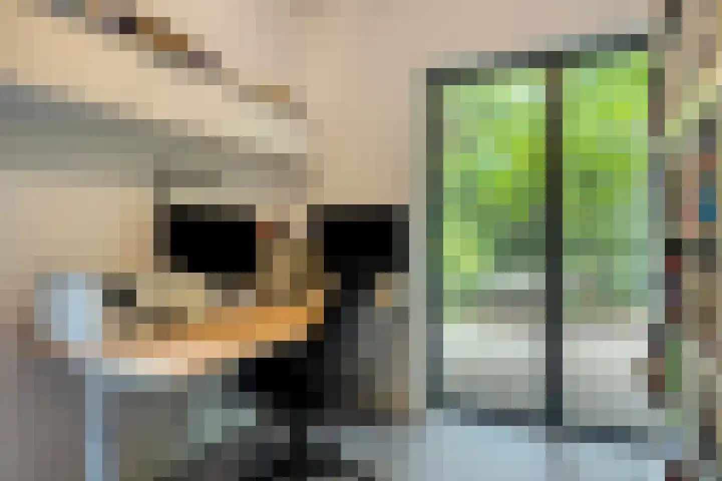 Dennenlaan 7 Epe thumbnail 22
