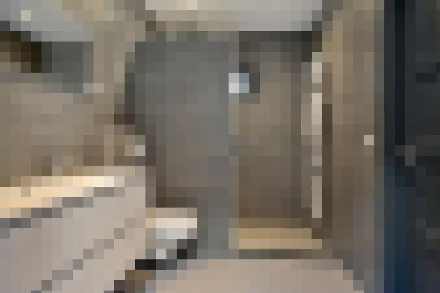 Dennenlaan 7 Epe thumbnail 26