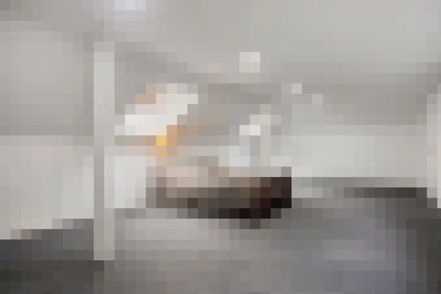 Dennenlaan 7 Epe thumbnail 32