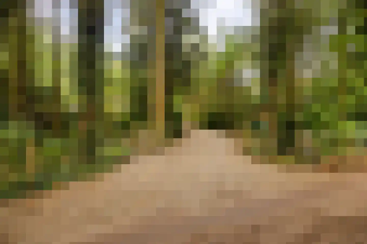Dennenlaan 7 Epe thumbnail 36
