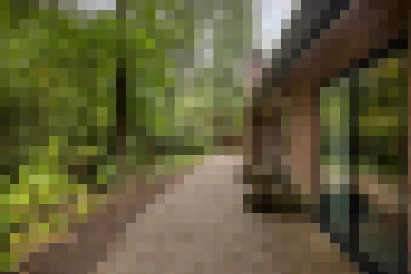 Dennenlaan 7 Epe thumbnail 42