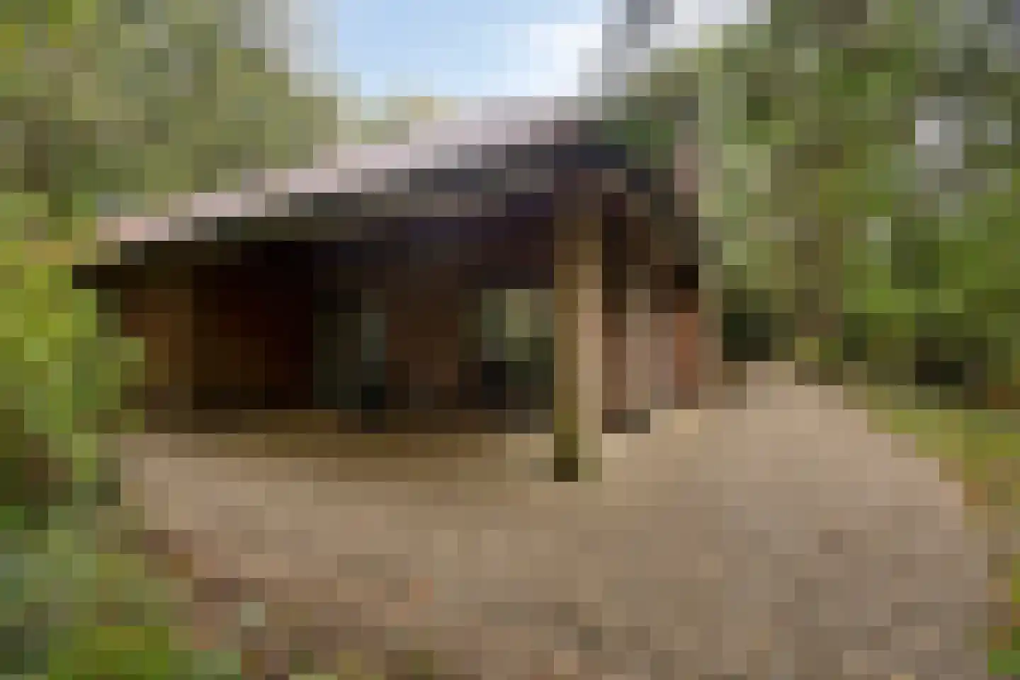 Dennenlaan 7 Epe thumbnail 44