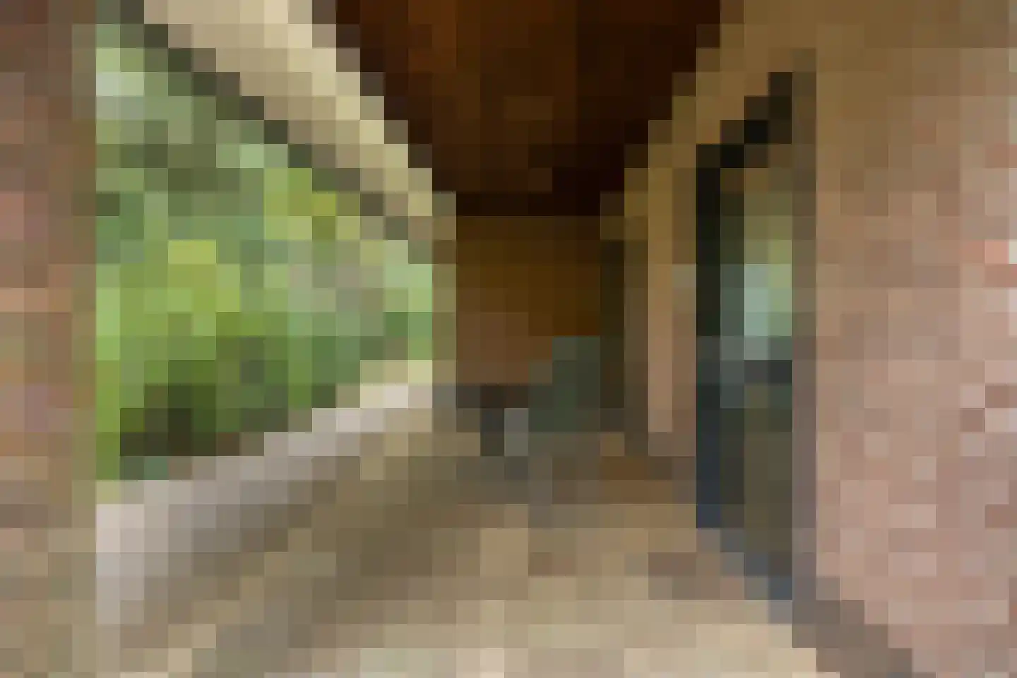 Dennenlaan 7 Epe thumbnail 45